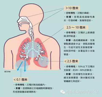  更深入了解口罩，按原理来分类的方式归纳你是不是没听说过(图5)